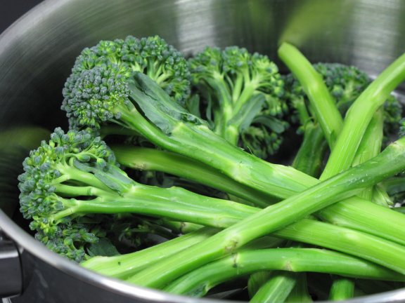 Tender Stem Broccoli Ready to Steam