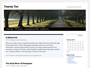 Twenty Ten Theme